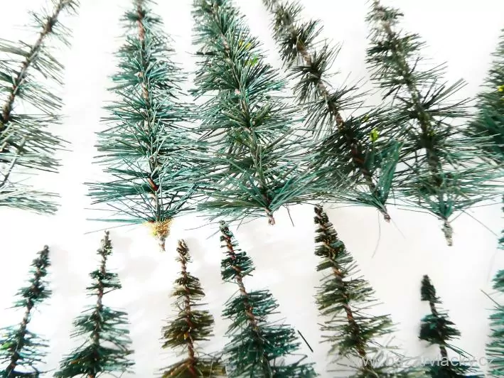 Strom jehličnatý - 16 ks ( 5 - 10 cm ) PĚKNÝ STAV