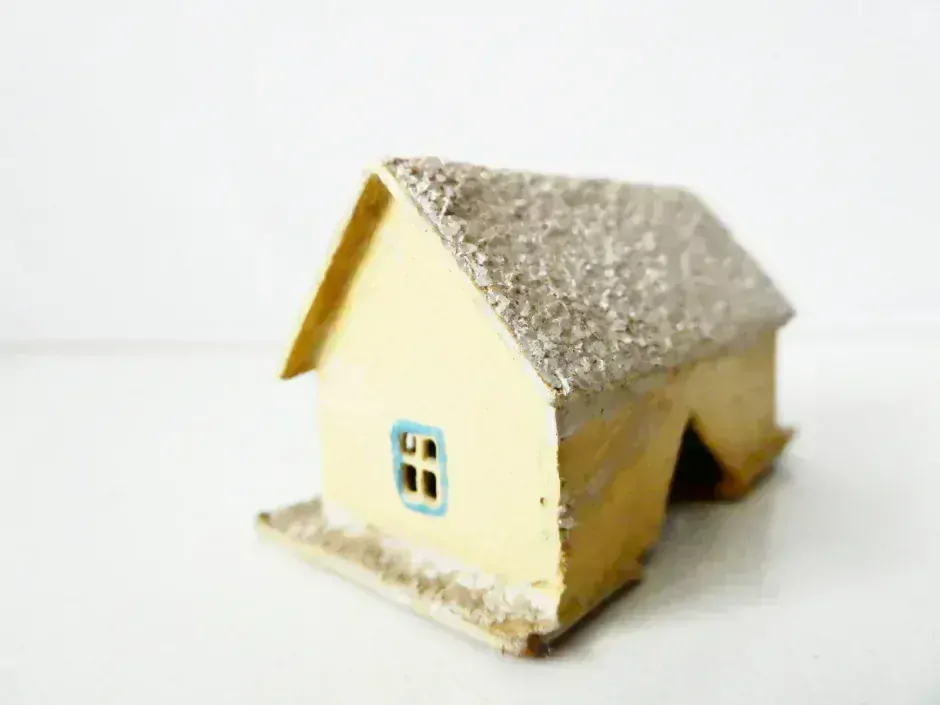 N Vesnický dům s efektem zasněžené střechy