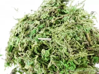 Posyp - Mech zelený 23 g