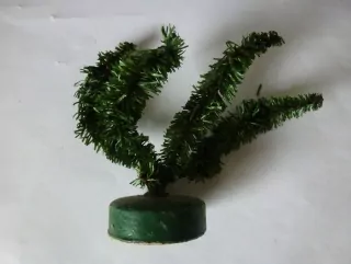 Stromek nízký - keř  (8 cm)
