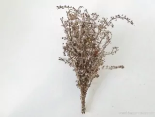 Strom přírodní vázaný 1 ks ( cca 12 cm )