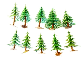 Strom jehličnatý s kořeny - 10 ks ( 6 - 7,5 cm ) PĚKNÝ STAV