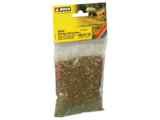 NOCH 08360 Statická tráva - kamenitá horská louka - 20 g NOVÉ